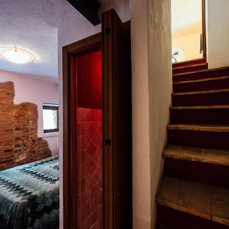 Agriturismo Il Noce กัสตีลีโยเน ดิ ออร์ชา ภายนอก รูปภาพ