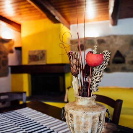 Agriturismo Il Noce กัสตีลีโยเน ดิ ออร์ชา ภายนอก รูปภาพ