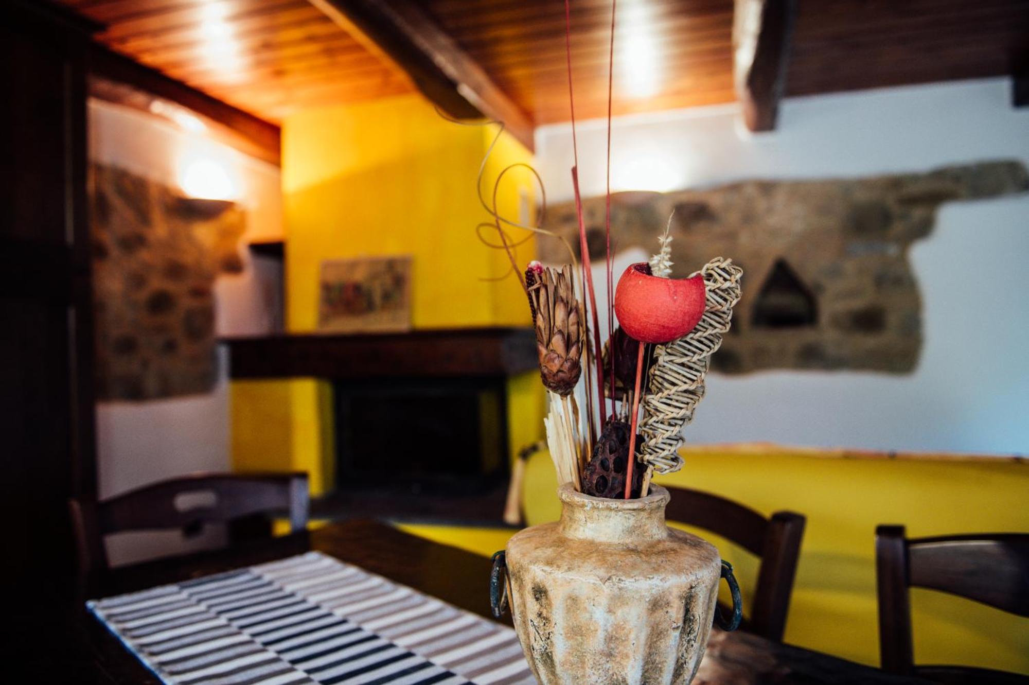 Agriturismo Il Noce กัสตีลีโยเน ดิ ออร์ชา ภายนอก รูปภาพ