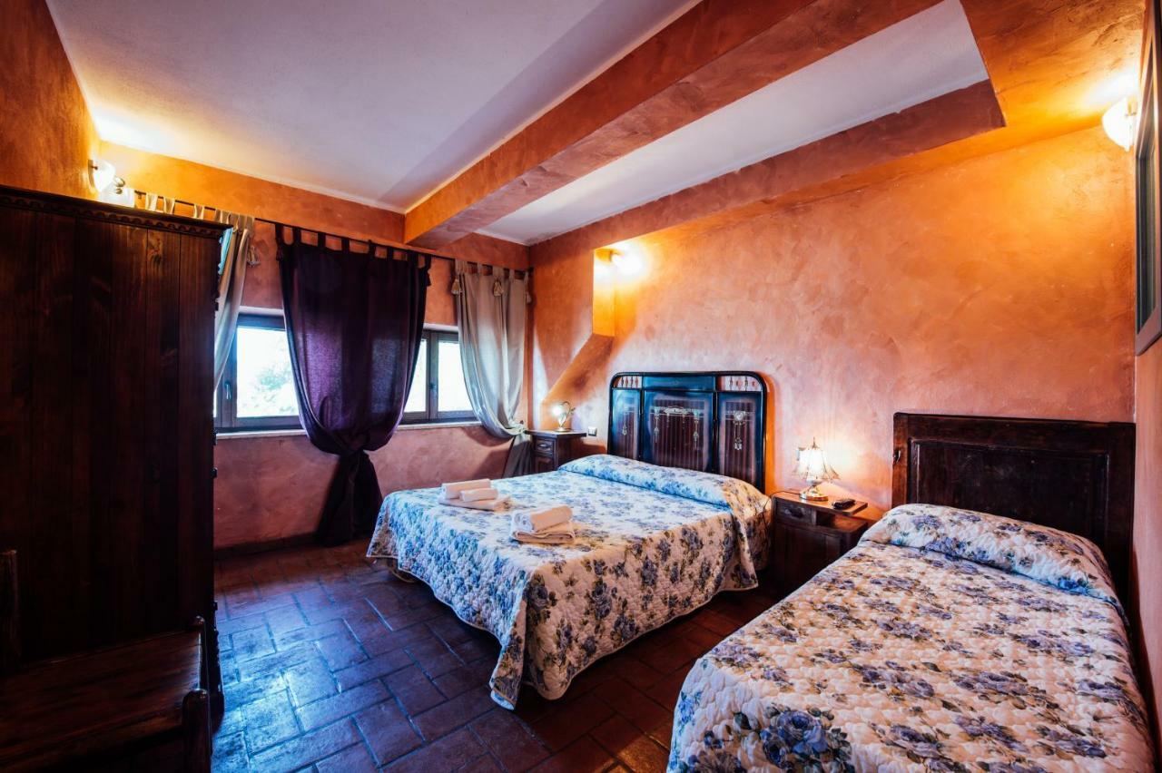 Agriturismo Il Noce กัสตีลีโยเน ดิ ออร์ชา ภายนอก รูปภาพ